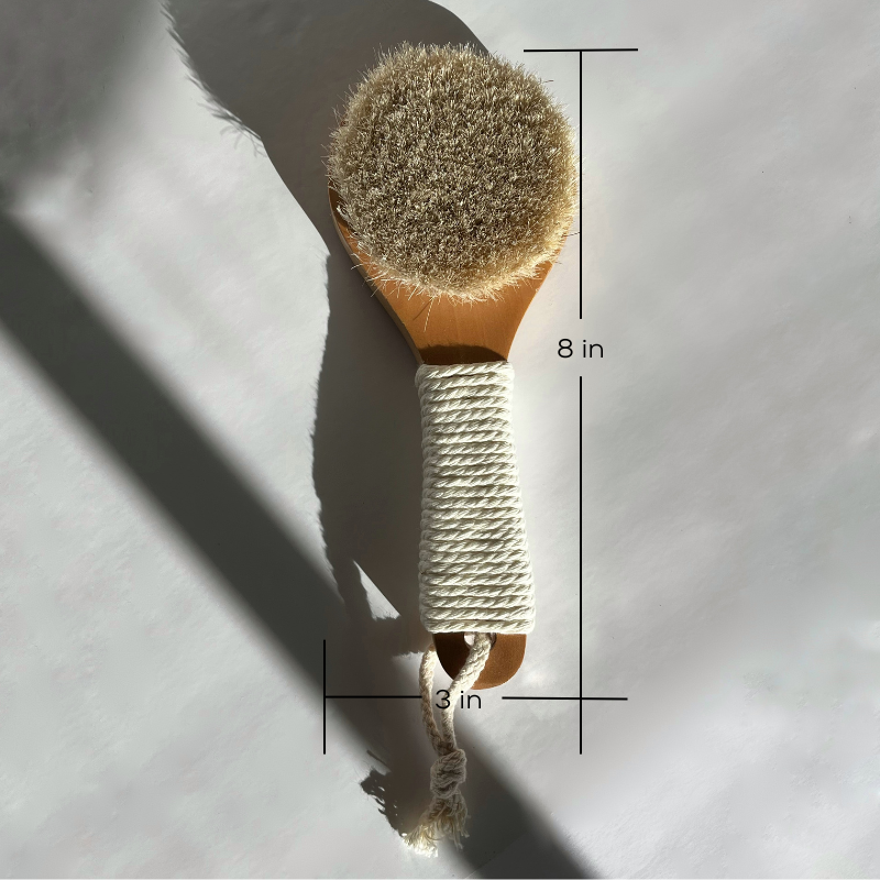 Dry Brush with Natural Bristles