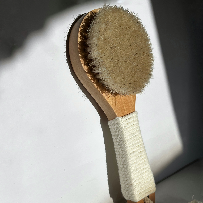 Dry Brush with Natural Bristles